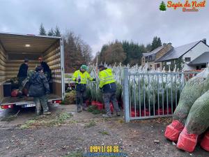 26-11-2019 16:07 - sapin nordmann belge livraison de sapin Berchem-Ste-Agathe