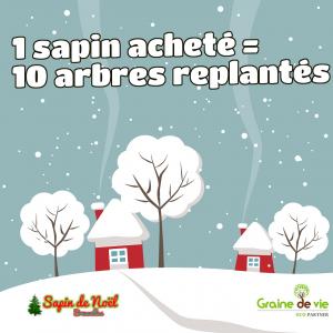 21-12-2019 14:59 - sapin nordmann belge livraison de sapin Court-Saint-Etienne