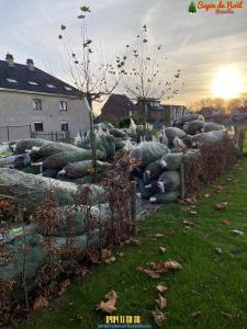 26-11-2019 16:07 - sapin nordmann belge livraison de sapin Etterbeek