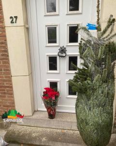 28-11-2021 18:56 - sapin nordmann belge livraison de sapin Etterbeek