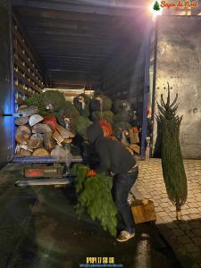 16-12-2019 09:42 - sapin nordmann belge livraison de sapin Genappe