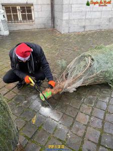 16-12-2019 09:42 - sapin nordmann belge livraison de sapin Genappe