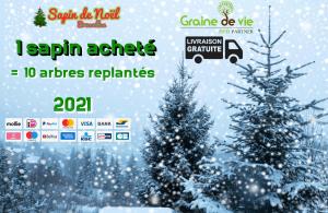 16-11-2020 00:18 - sapin nordmann belge livraison de sapin Houtain-Le-Val