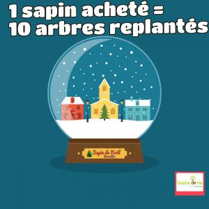 20-12-2019 07:41 - sapin nordmann belge livraison de sapin Limelette