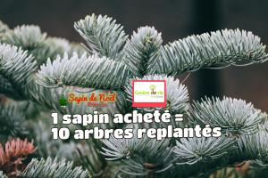 21-12-2019 14:59 - sapin nordmann belge livraison de sapin Limelette