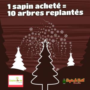 21-12-2019 14:59 - sapin nordmann belge livraison de sapin Louvain-La-Neuve