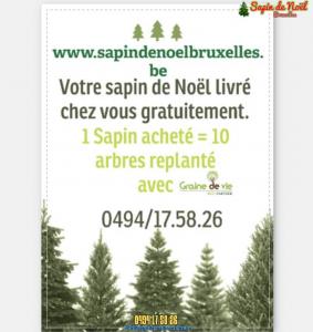 26-11-2019 16:07 - sapin nordmann belge livraison de sapin Louvain-La-Neuve