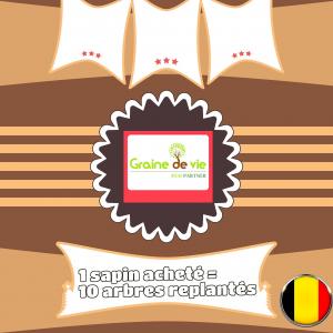 08-12-2019 09:54 - sapin nordmann belge livraison de sapin Wauthier-Braine