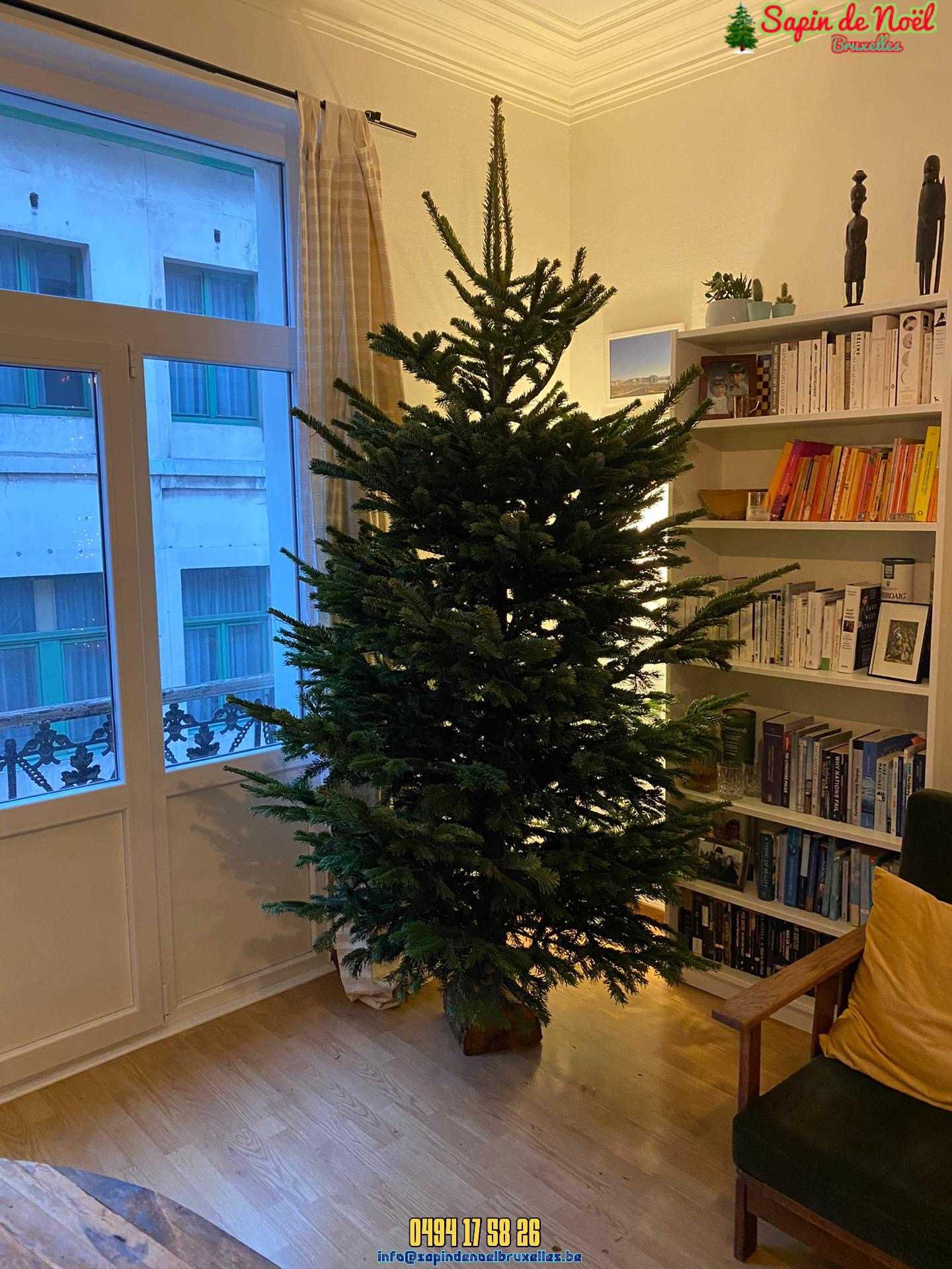 Ou acheter un sapin de noel : 1190 Forest